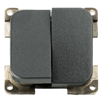 Schakelaar dubbel ANTRACIET C-line