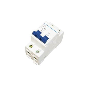 Automatische zekering dubbelpolig C10A verpakt