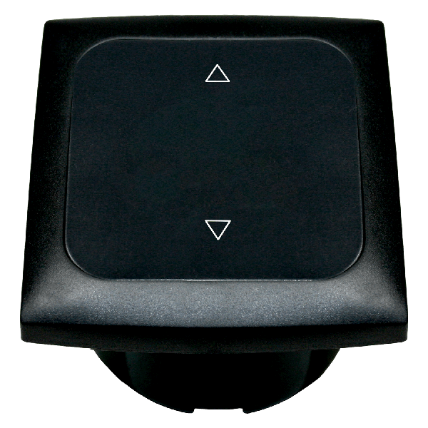 C-Line schakelaar voor elektrische opstap met Opal afdekraam zwart - zonder verkoopverpakking