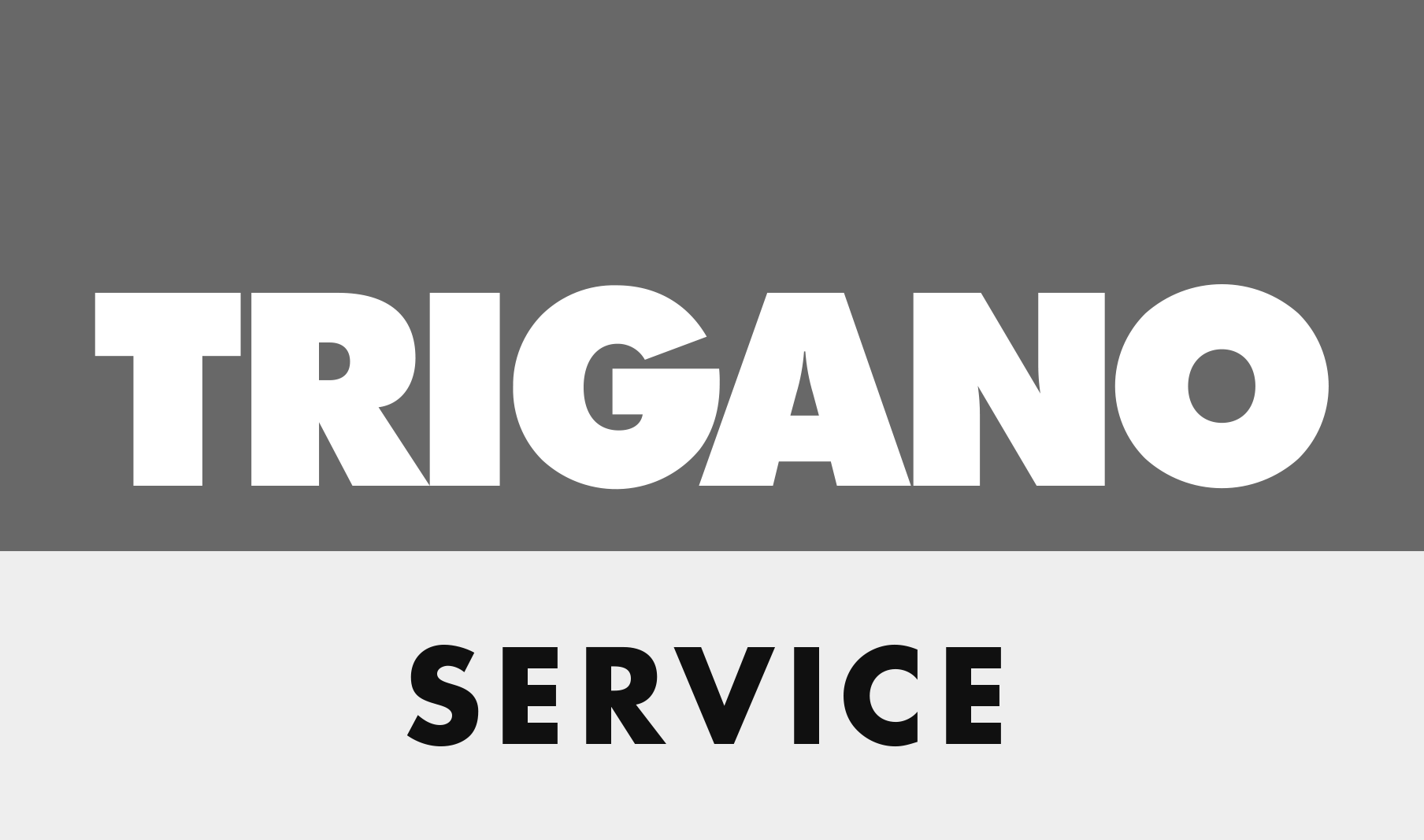 Logo_New_Trigano_Service.png